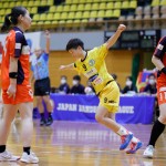 line_189333715447155