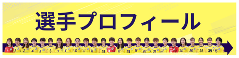 選手プロフィール誘導