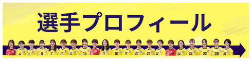 選手プロフィール誘導